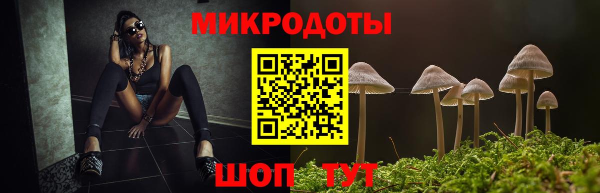 Саров  Галлюциногенные грибы прущие грибы  Вход с VPN  Псилоцибиновые грибы Psilocybine cubensis 